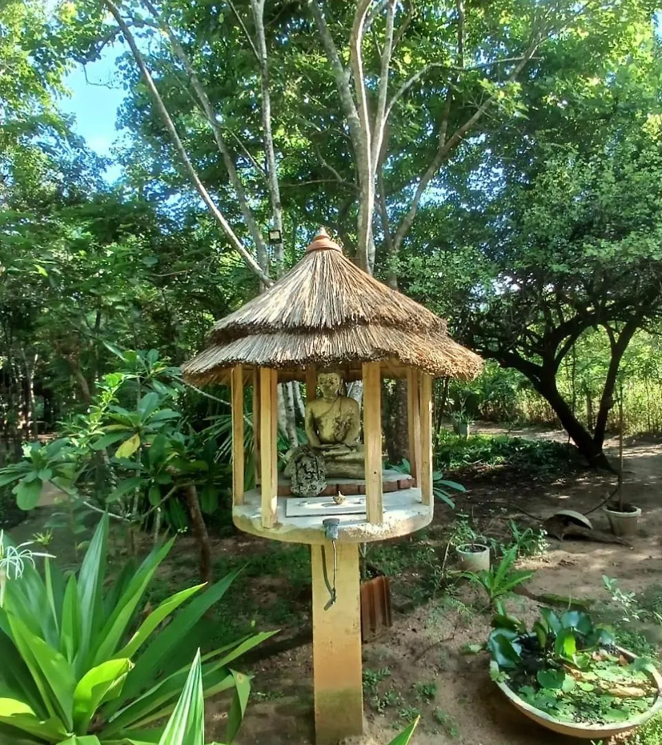Villa Habarana