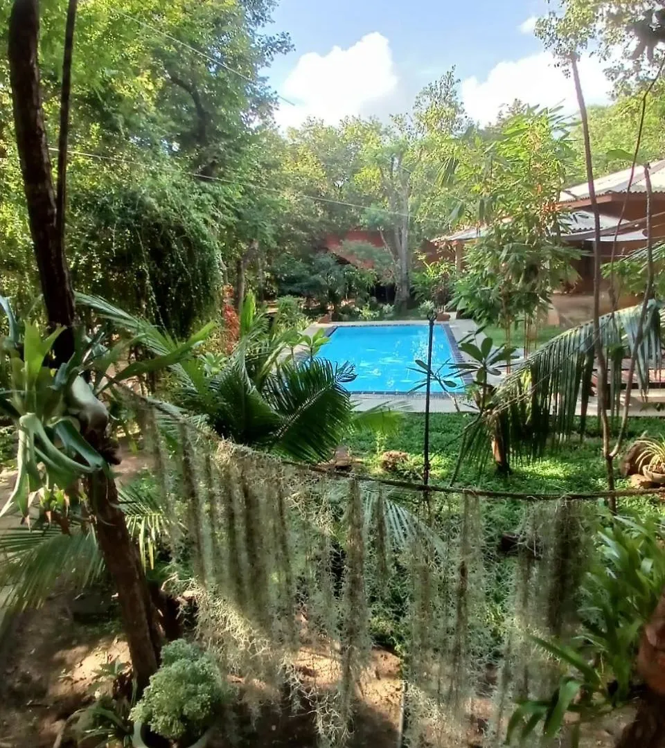 Villa Habarana Sri Lanka