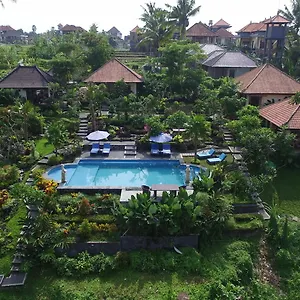 https://villa-capung-mas-ubud.ubudhotelsnow.com