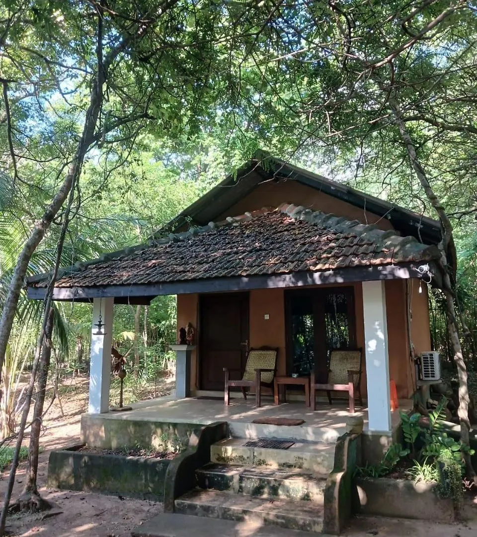 Villa הבאראנה